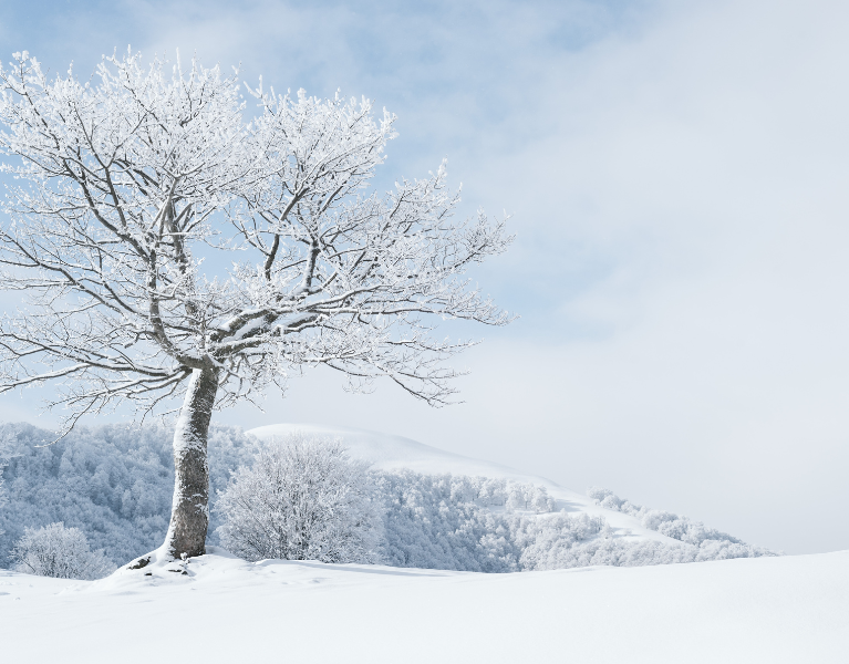 Winterlandschaft Deko