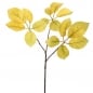 Kunstblume Blätterzweig in Gelb-Grün, 35 cm.