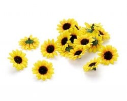 3. Mustertisch Sonnenblumen\