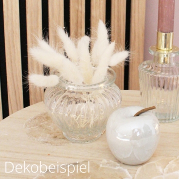 Naturdeko Samtgras, Lagurus Bund, getrocknet, in Wollweiß, 55 cm Naturdeko Samtgras, Lagurus Bund, getrocknet, 55 cm in Wollweiß, Dekobeispiel