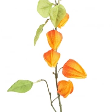 Kunstblume, Deko Zweig Physalis, Lampionblume in Orange, 90 cm Kunstblume, Deko Zweig Physalis, Lampionblume in Orange, 90 cm.