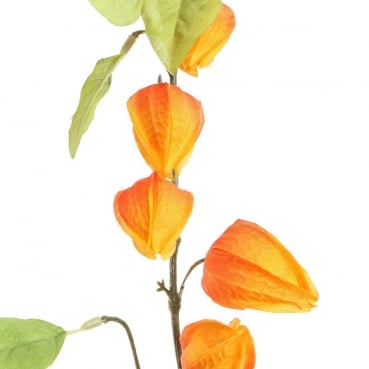 Kunstblume, Deko Zweig Physalis, Lampionblume in Orange, 90 cm Kunstblume, Deko Zweig Physalis, Lampionblume in Orange, 90 cm.