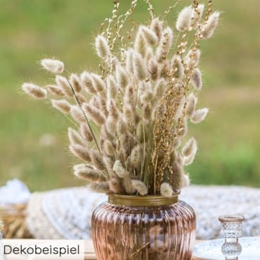 Naturdeko Samtgras, Lagurus Bund, getrocknet, 55 cm Dekobeispiel mit dem Naturdeko Samtgras, Lagurus Bund, getrocknet, 55 cm.