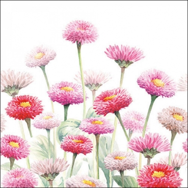 20er Pack Servietten Bellis Blumen, 33 x 33 cm