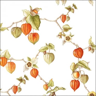 20er Pack Servietten Physalis, Lampionblumen, 33 x 33 cm