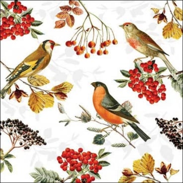 20er Pack Servietten Herbst, Vögel und Beeren, 33 x 33 cm