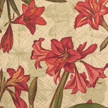 20er Pack Eco Line Servietten, Rote Amaryllis, 33 x 33 cm