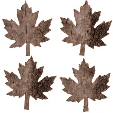 4 Streudeko Ahornblätter aus Baumrinde, 80 mm 4 Streudeko Ahornblätter aus Baumrinde, 80 mm