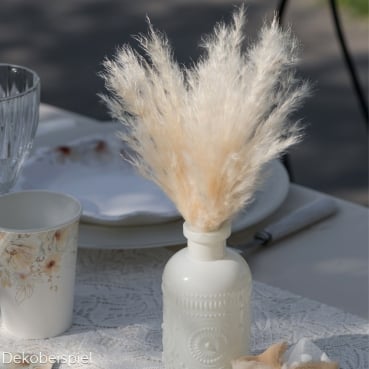 Kleines Naturdeko Pampasgras Bündel, getrocknet, 20 cm Kleines Naturdeko Pampasgras Bündel, getrocknet, 20 cm.